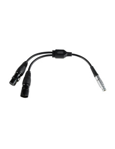 DMX adapter cable for pavotube x