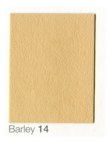 2,72 x 11 barley card backdrop