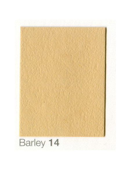 2,72 x 11 barley card backdrop