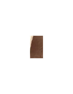 CARTONCINE BASE 2,72 x 11 Dandelion 2