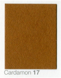 Cardboard backdrop 2.72 x 11 Cardamon