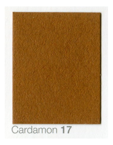 Cardboard backdrop 2.72 x 11 Cardamon