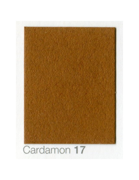 Cardboard backdrop 2.72 x 11 Cardamon