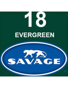 EVERGREEN card backdrop 2.72 x 11 meters 2