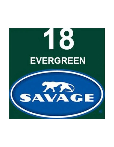 EVERGREEN card backdrop 2.72 x 11 meters