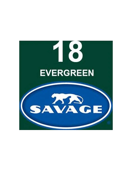 EVERGREEN card backdrop 2.72 x 11 meters