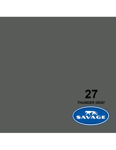 Universal 27-12 Screen from gray background