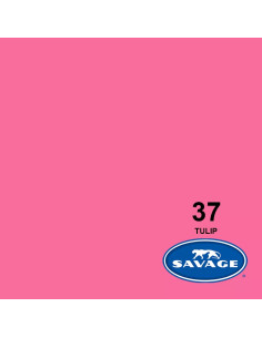 Tulip card backdrop 2.72 x 11 meters