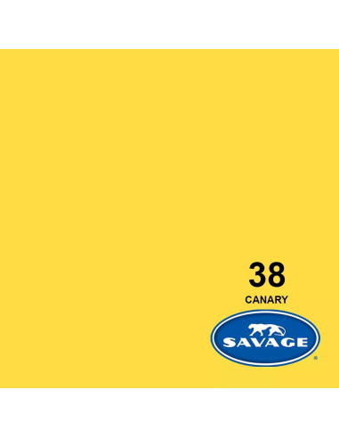 Yellow canary card backdrop 2.72 x 11 meters