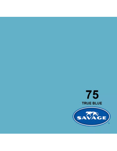 Universal True Blue Seamless Paper Blue