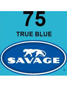 Universal True Blue Seamless Paper Blue 2