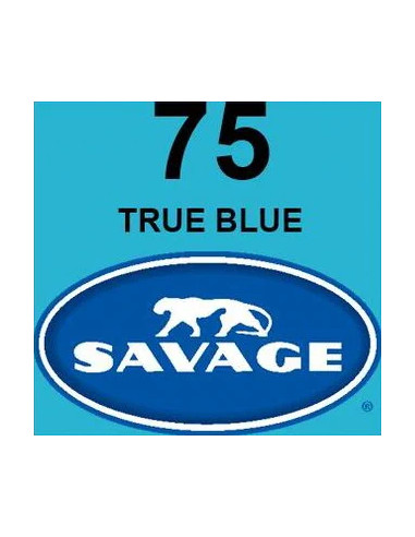 Universal True Blue Seamless Paper Blue