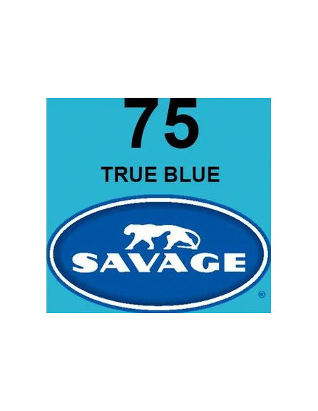 Universal True Blue Seamless Paper Blue