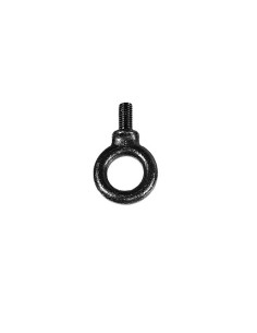 Eye Bolt