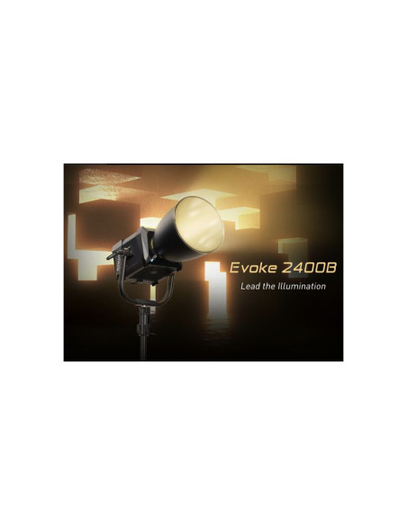 NANLUX Flight Case for Evoke 2400B for All in One Kit with Reflector 45