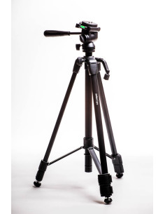 Advance RF-31
