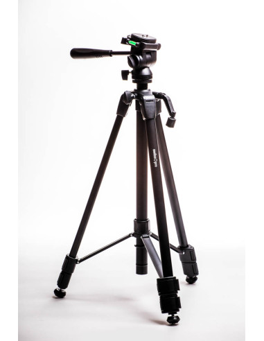 Advance RF-31