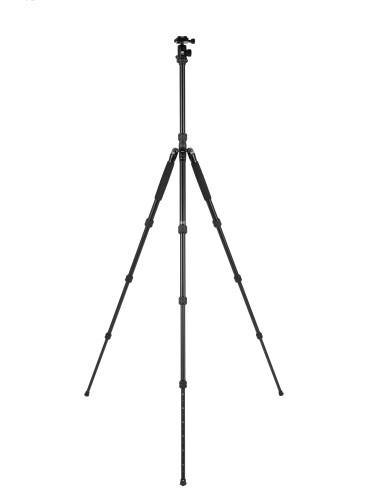 Traveler 7a