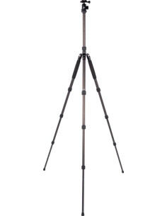 Traveler 7C 2