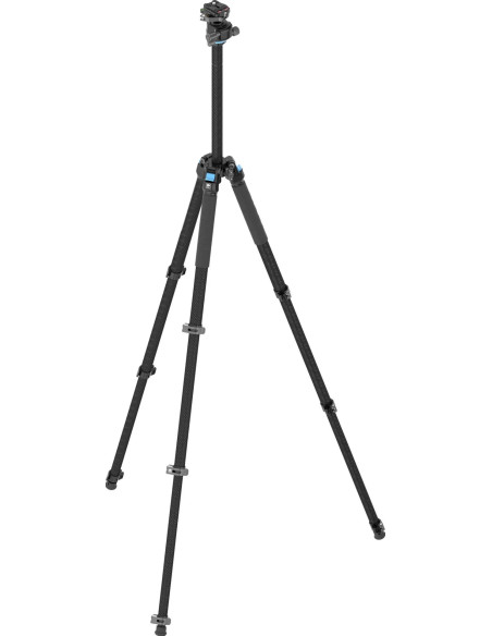 Tripod L-224F + Head KS-10