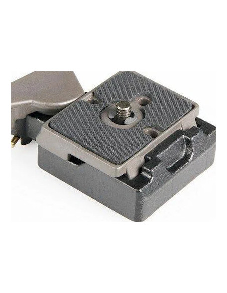 Rapid release plate 323