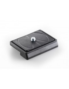 Photographic Release Plate