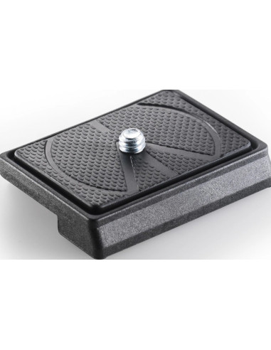 Photographic Release Plate