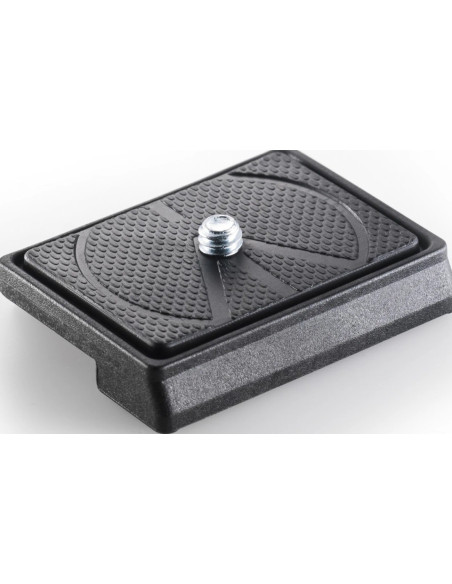 Photographic Release Plate