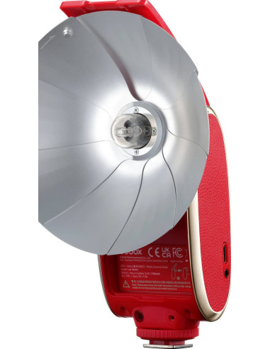 Retro Flash Lux Senior Red Camera