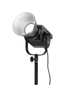 FS-200B bicolor