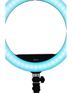 Halo 16c 31 W 2