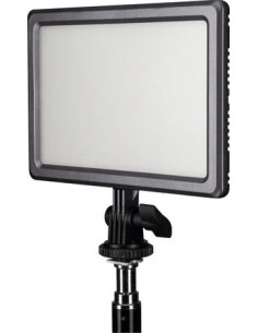 Lumipad 11 Bi-Color 2