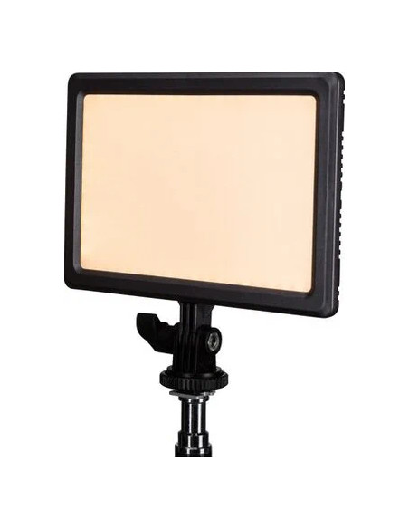 Lumipad 11 Bi-Color