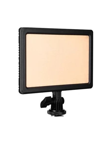 Lumipad 11 Bi-Color