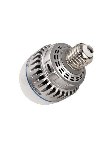 Pavolo Bulb 10c RGBWW