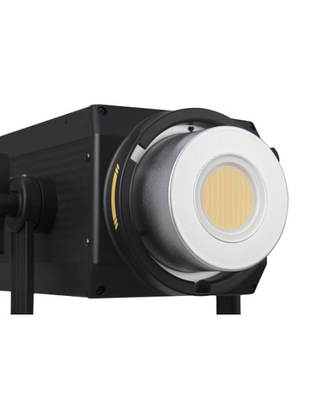 FS-300B bicolor