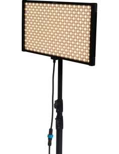 Pavoslim 120b bicolor 2
