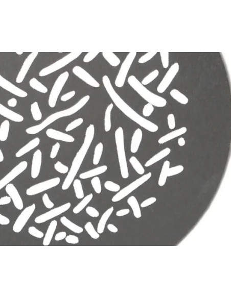 Set of gobo for PJ-BM 25-45 SET1 10PZ - Size M