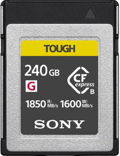 CEBG240T Flash Memory 240 GB CFExpress Type B 2