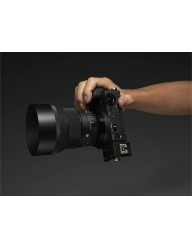 85mm f / 1.4 dg dn art l-mount