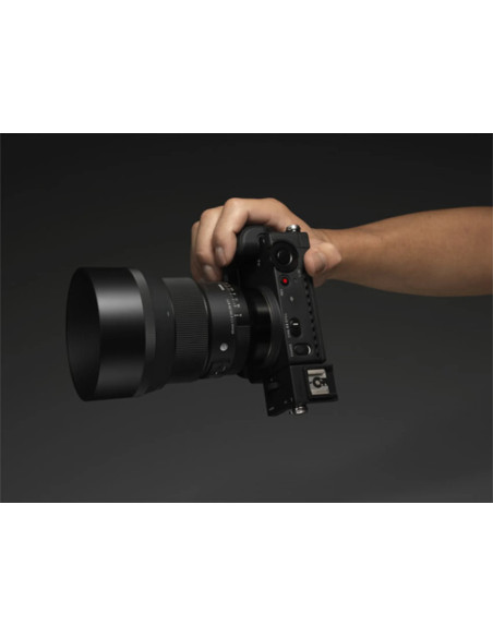 85mm f / 1.4 dg dn art l-mount