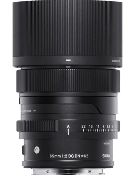 65mm f / 2 dg dn (c) sony e-mount