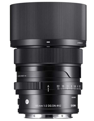 65mm f / 2 DG DN (C) L-MOUNT
