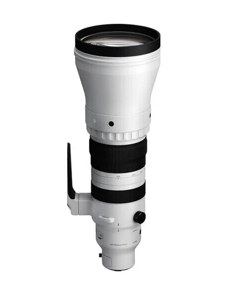 300-600mm f / 4 dg os sports l-mount