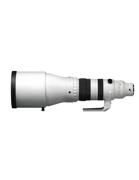 300-600mm f / 4 dg os sports l-mount