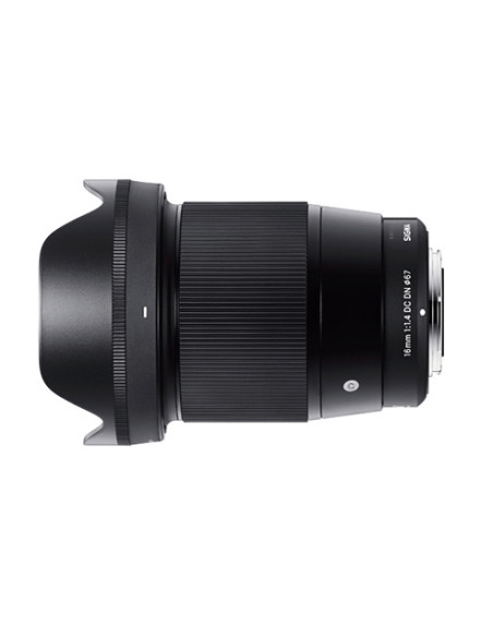 16mm f / 1.4 dc dn contemporary micro 4/3