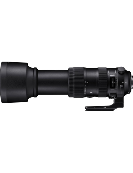 60-600mm f /4.5-6.3 Sport AF DG OS HSM Canon