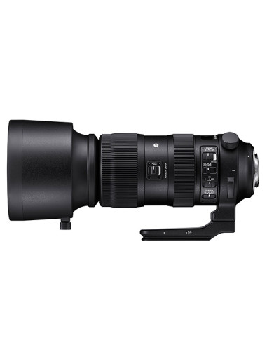 60-600mm f /4.5-6.3 Sport AF DG OS HSM Nikon