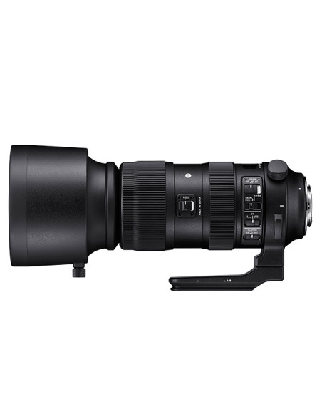 60-600mm f /4.5-6.3 Sport AF DG OS HSM Nikon
