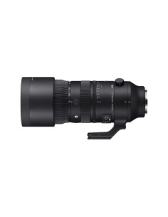 AF 70-200mm f / 2.8 dg dn os l-mount